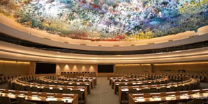 Competition and consumer Protection: Meetings